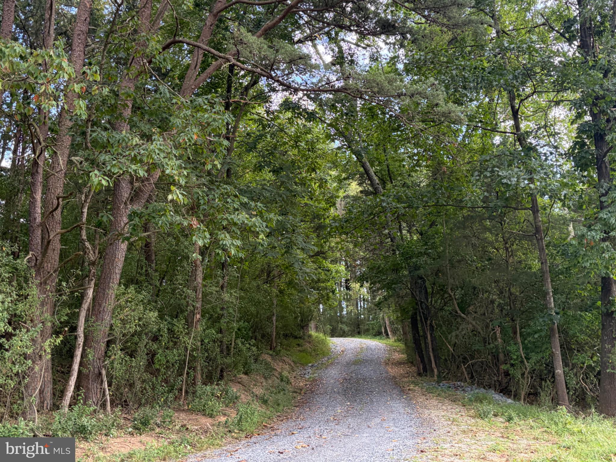 2983 Old Winchester Road Boyce, VA 22620 - Photo 65 of 98 Enjoy the drive through trees and fields.