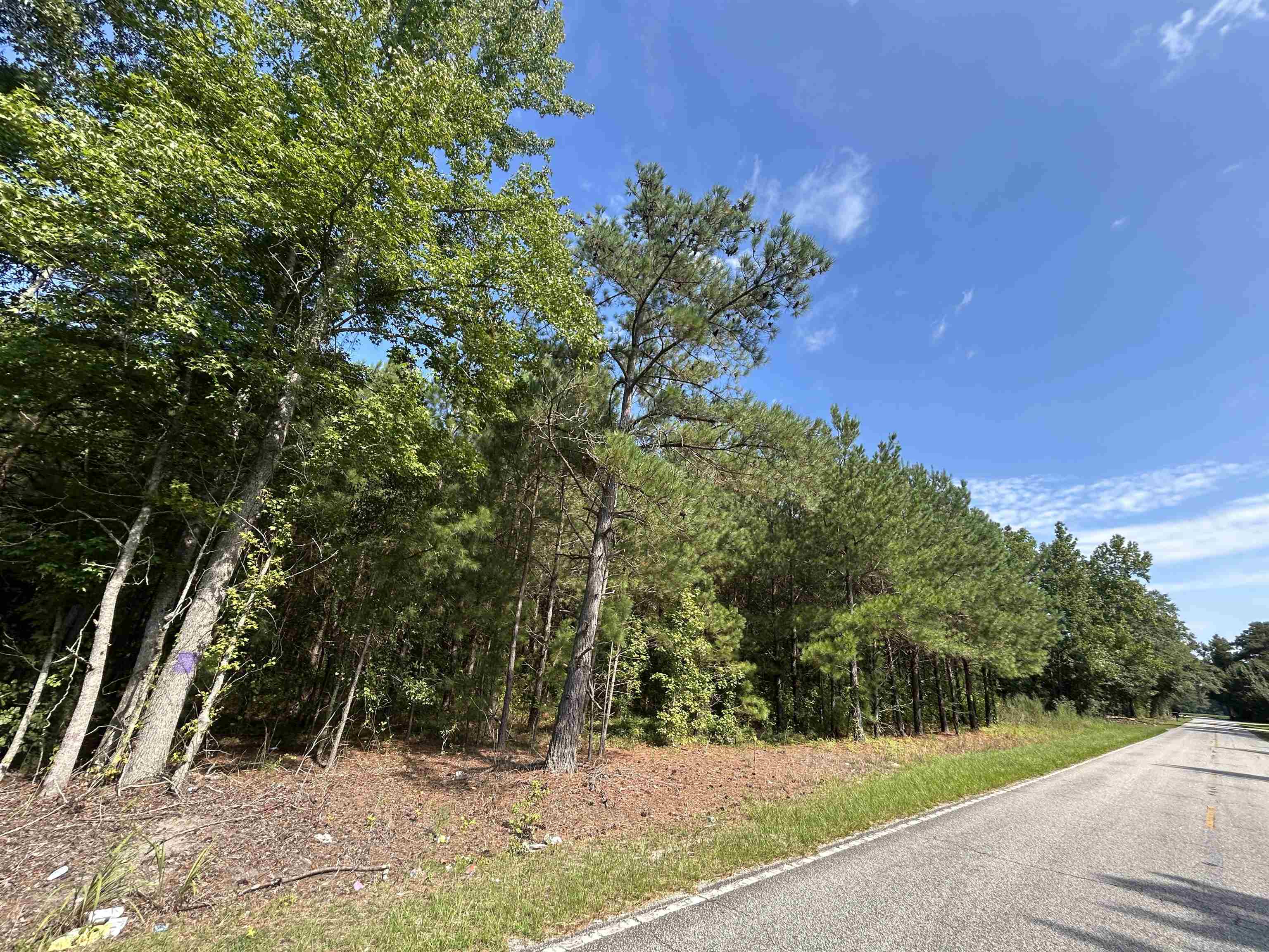 Tbd Mt Calvary Road Dillon, SC 29536 - Photo 14 of 26 Gallery Image 14