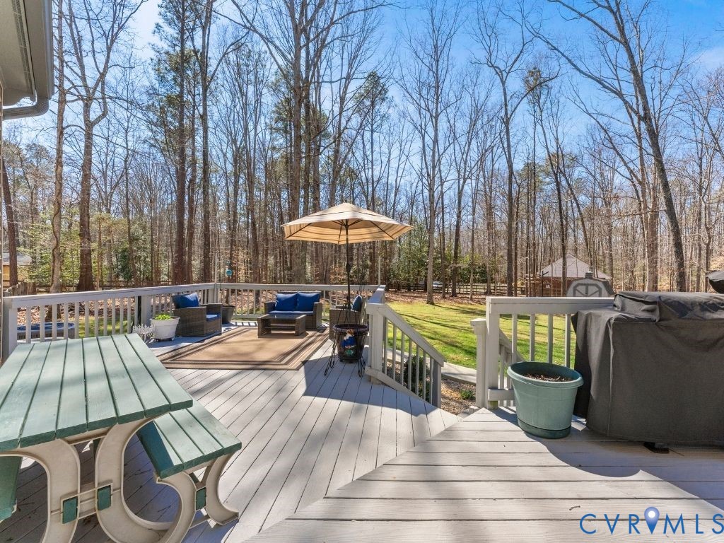 1531 King William Woods Road Midlothian, VA 23113 - Photo 54 of 64