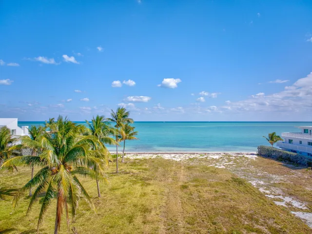 a view of a lake with a garden