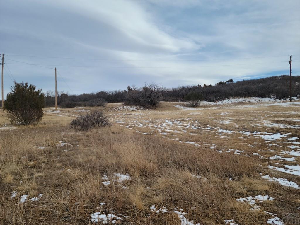 Tbd Andre Place Rye, CO 81069 - Photo 2 of 4