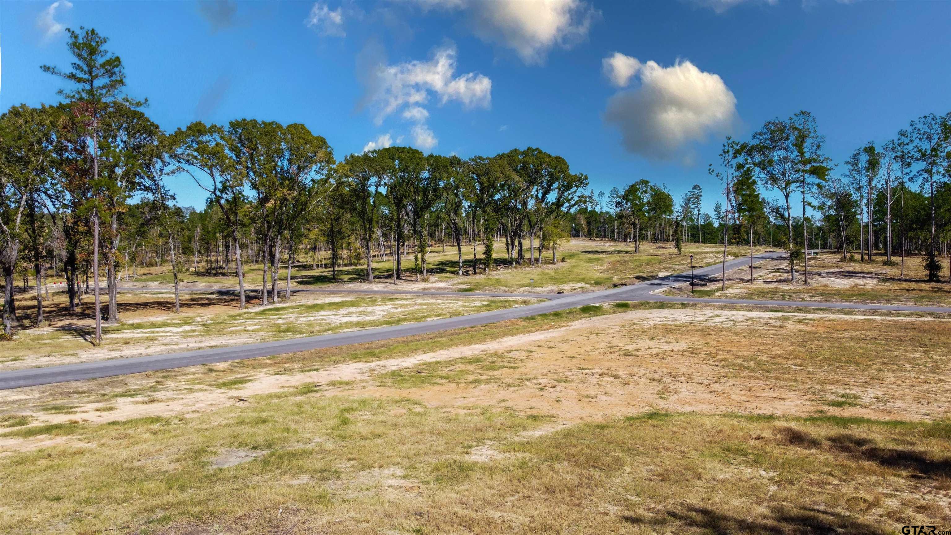 15703 Aniston Lane Flint, TX 75762 - Photo 28 of 47 a view of a yard with palm trees