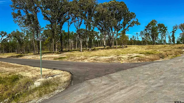 a view of a yard with tree s