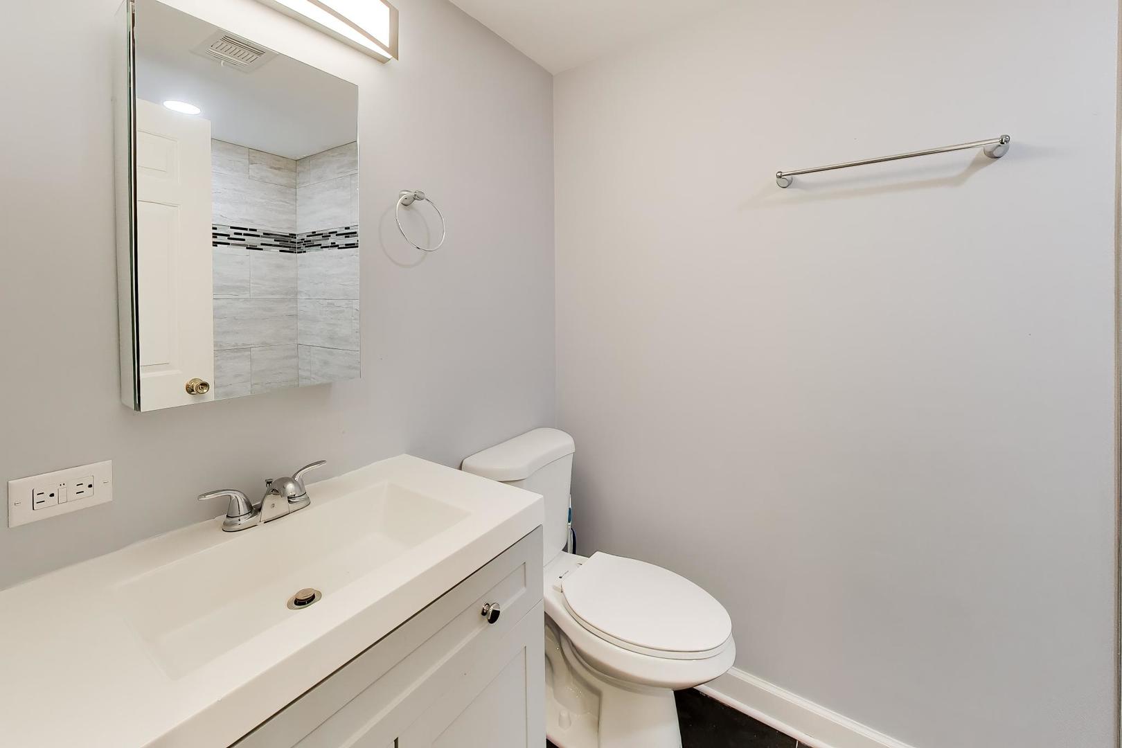 2972 South Loomis Street Chicago, IL 60608 - Photo 33 of 42