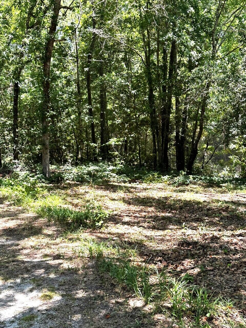 224 Cotton Branch Road Leesville, SC 29070 - Photo 8 of 52