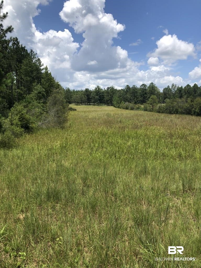 0 Bud Odom Road Deer Park, AL 36529 - Photo 11 of 50