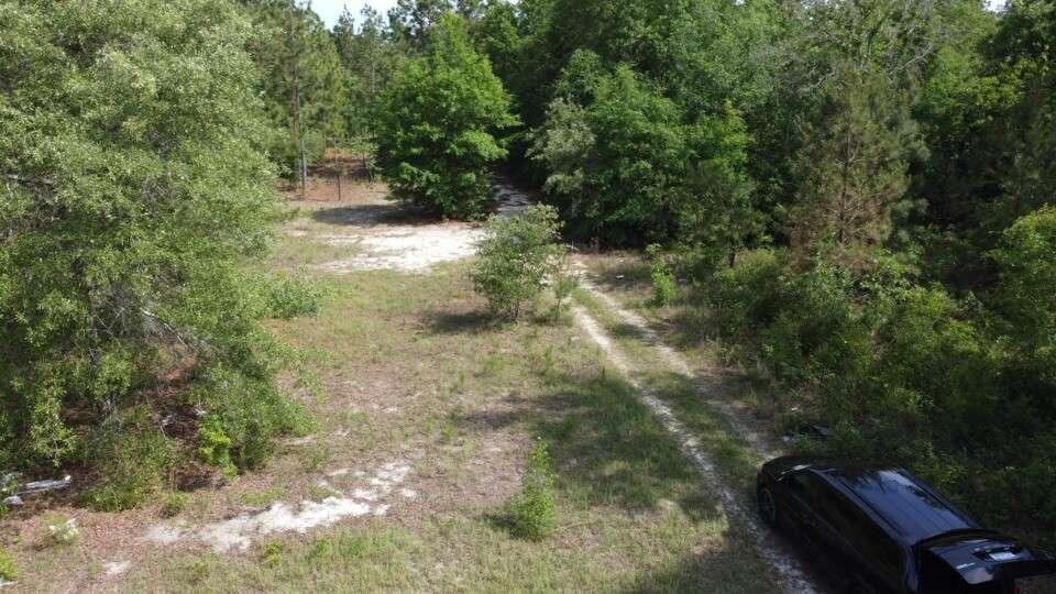 1327 Charlies Loop Williston, SC 29853 - Photo 3 of 6