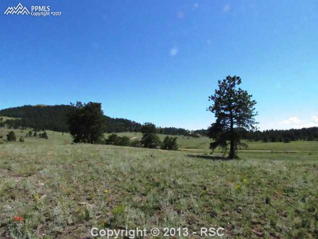 1360 Julia Road Guffey, CO 80820 - Photo 13 of 18