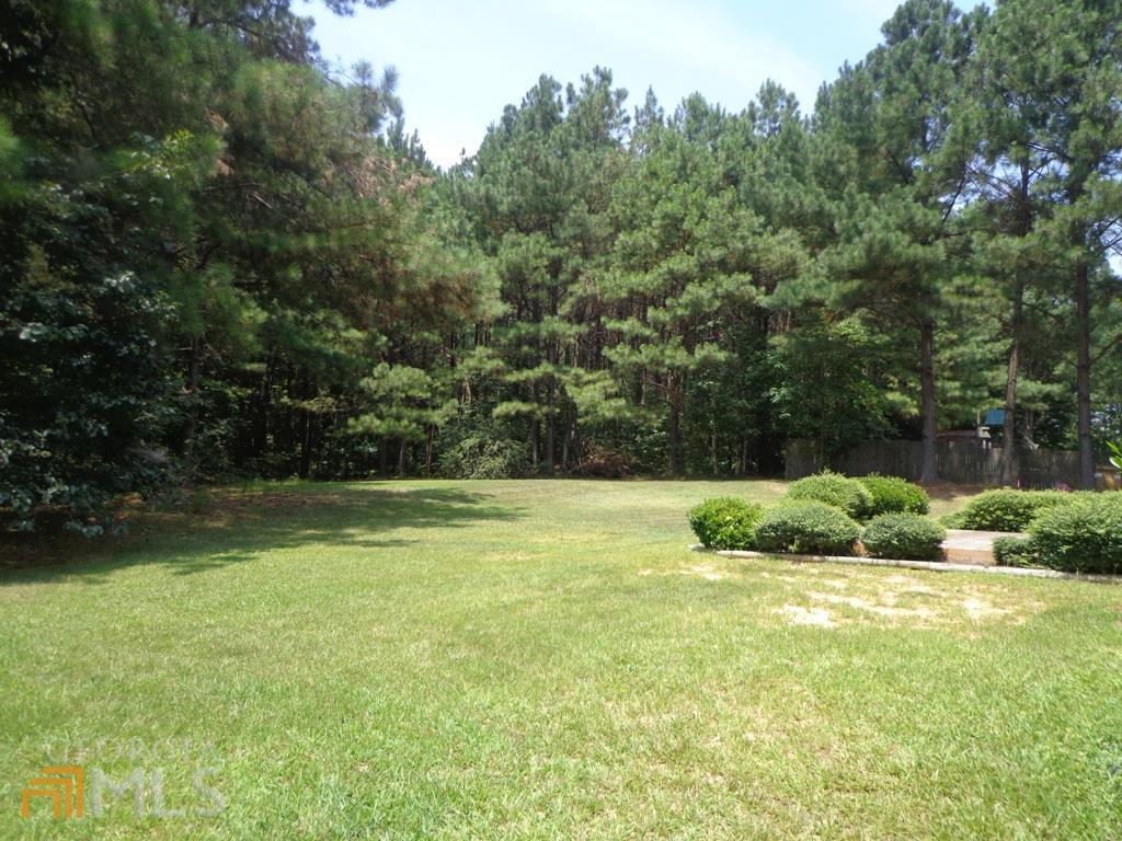 45 Chemin Place Sharpsburg, GA 30277 - Photo 43 of 47