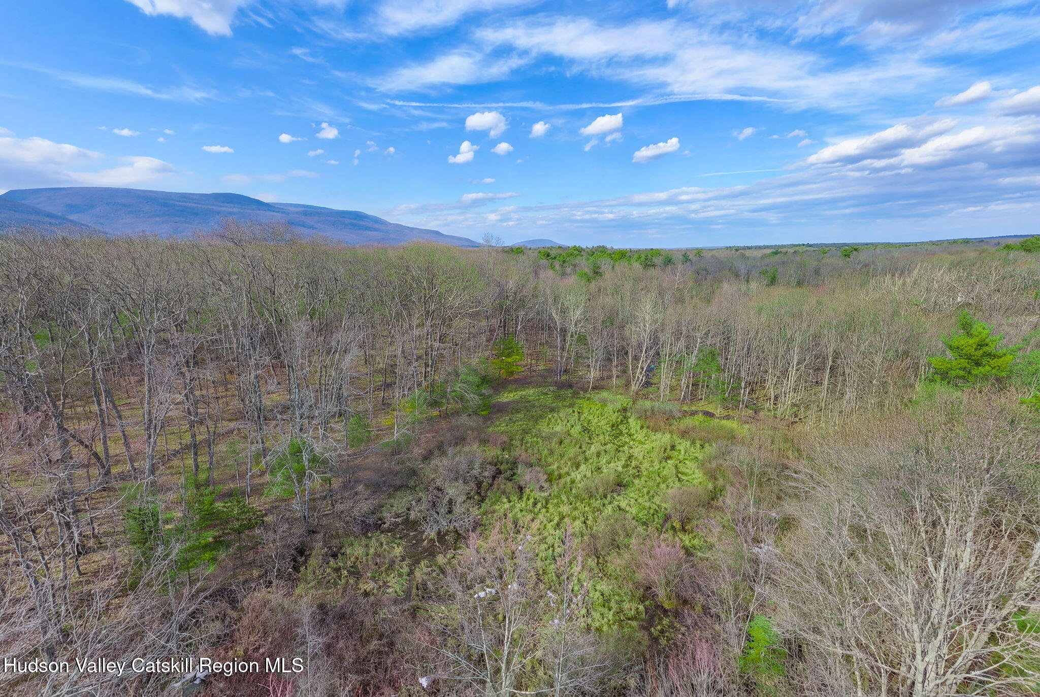 38 Spurck Road Saugerties, NY 12477 - Photo 11 of 16 6