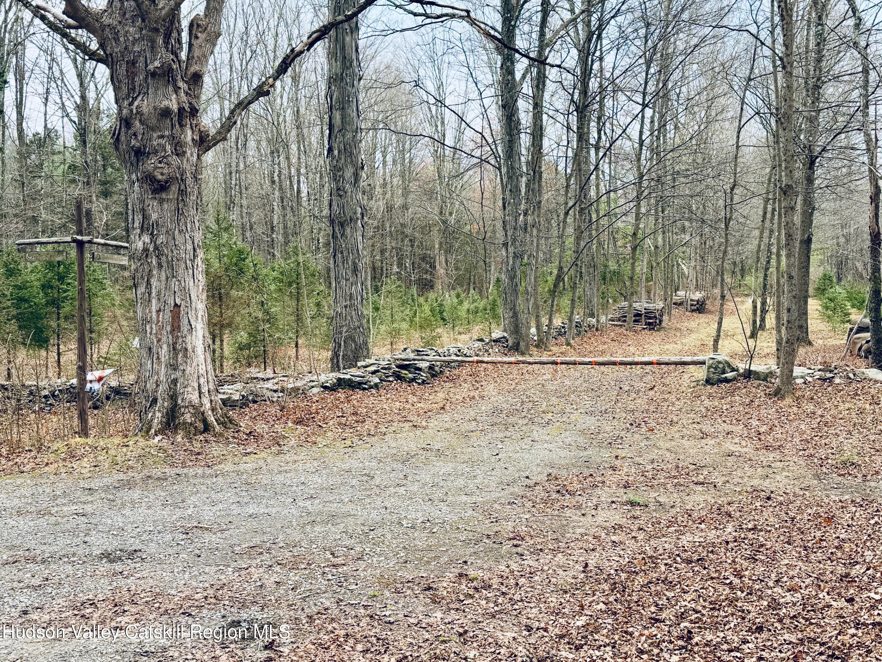 38 Spurck Road Saugerties, NY 12477 - Photo 12 of 16 IMG_0220