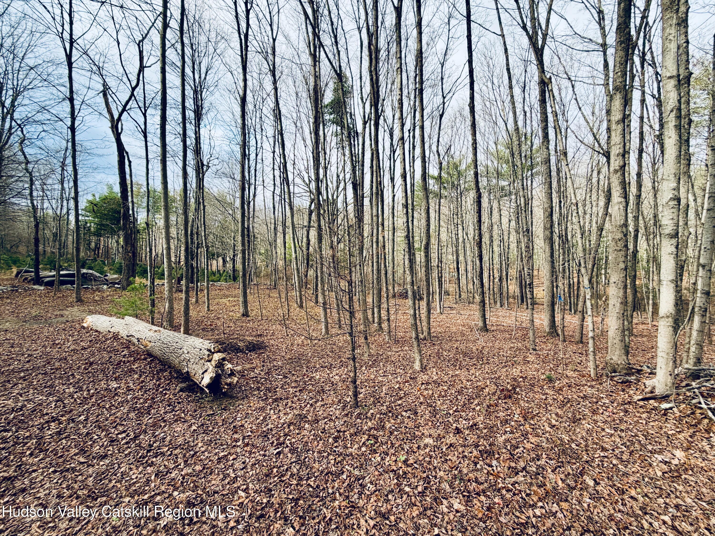 38 Spurck Road Saugerties, NY 12477 - Photo 14 of 16 IMG_0216