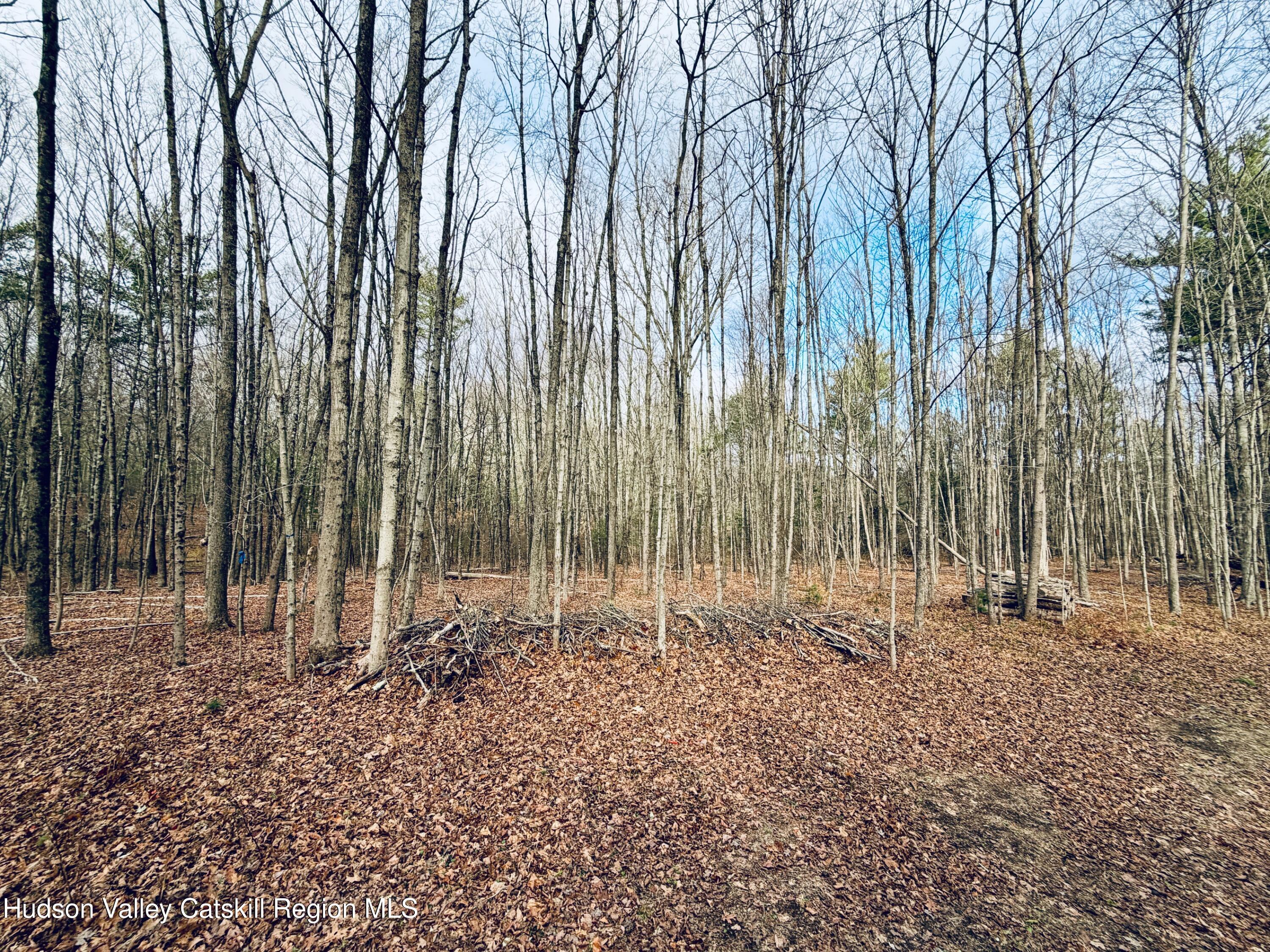 38 Spurck Road Saugerties, NY 12477 - Photo 16 of 16 IMG_0215