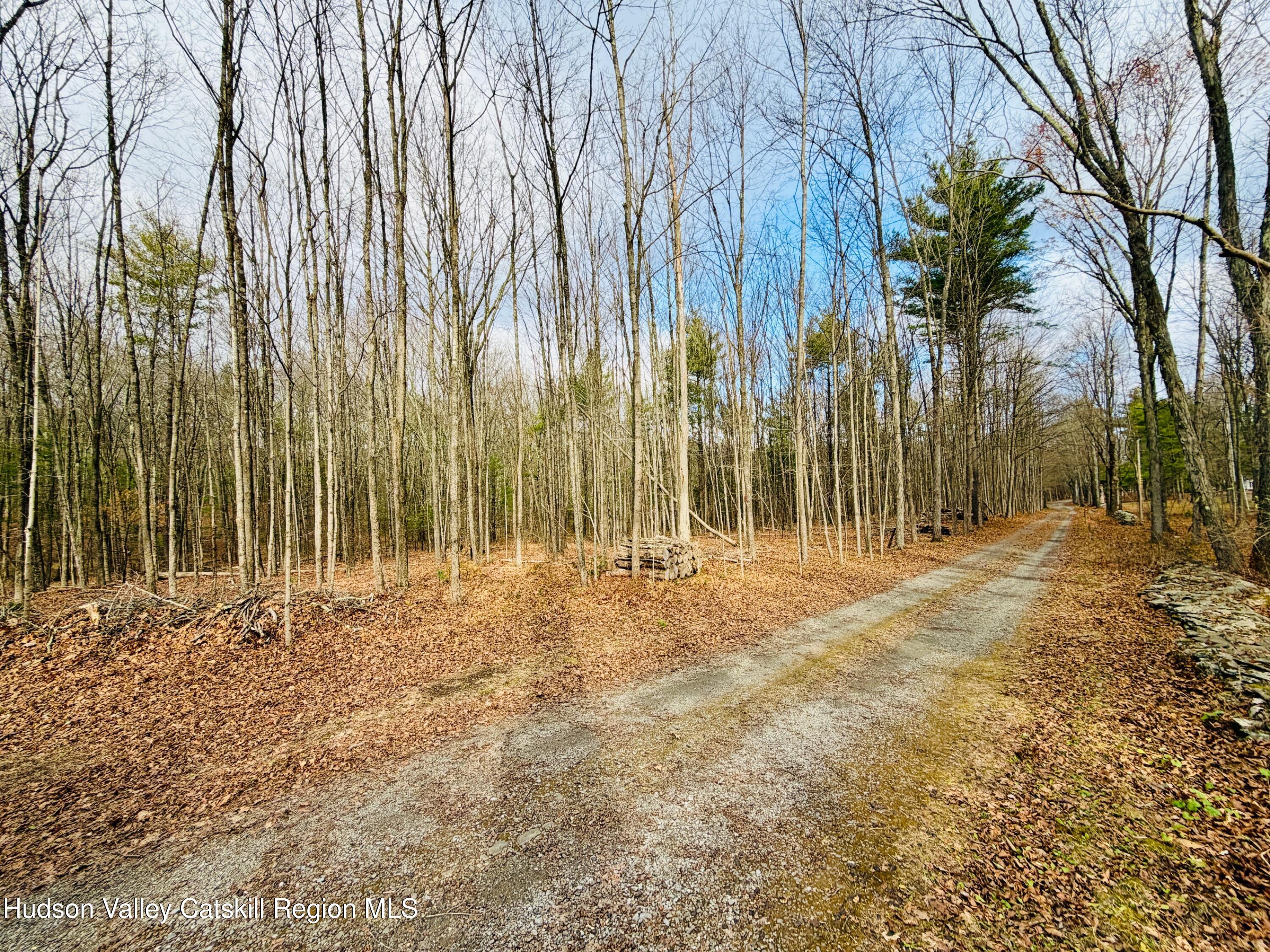 38 Spurck Road Saugerties, NY 12477 - Photo 2 of 16 IMG_0219