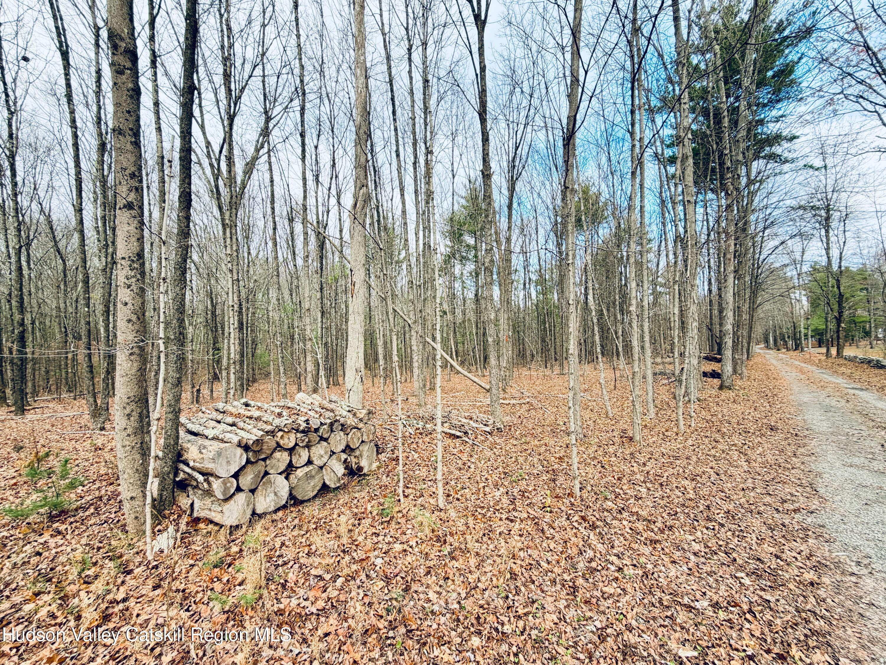 38 Spurck Road Saugerties, NY 12477 - Photo 4 of 16 IMG_0223