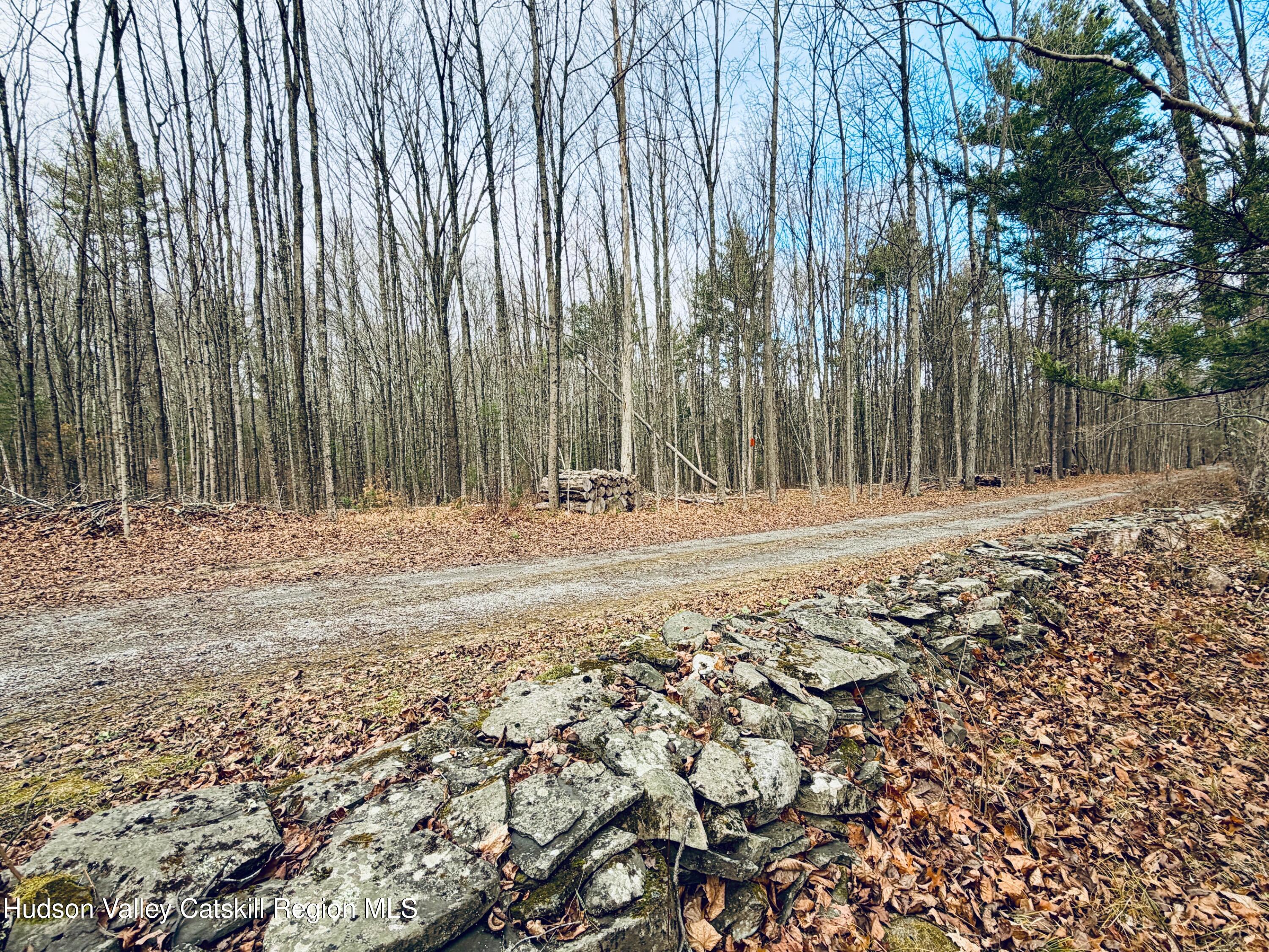 38 Spurck Road Saugerties, NY 12477 - Photo 6 of 16 IMG_0222