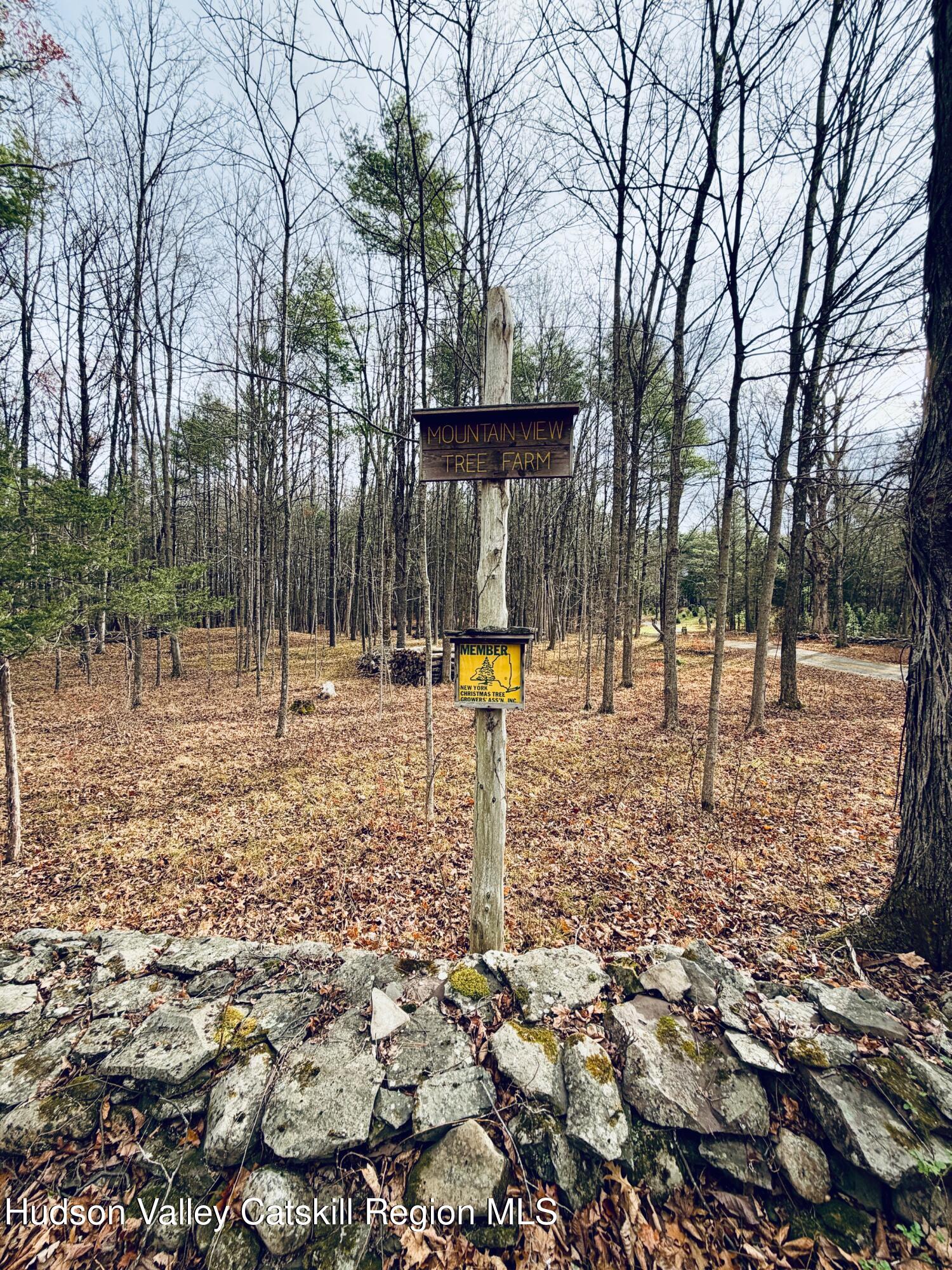 38 Spurck Road Saugerties, NY 12477 - Photo 8 of 16 IMG_0218