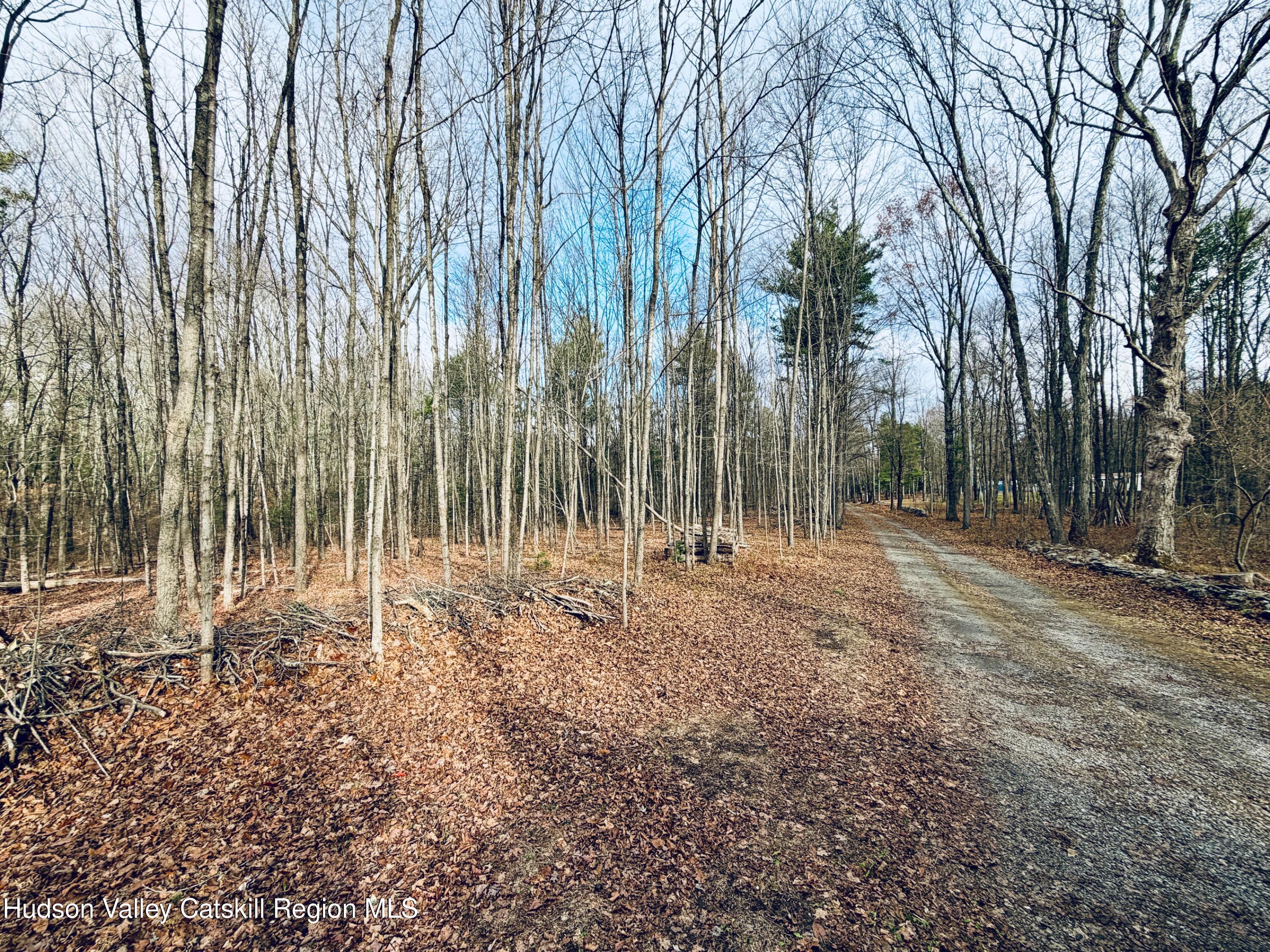 38 Spurck Road Saugerties, NY 12477 - Photo 10 of 16 IMG_0217