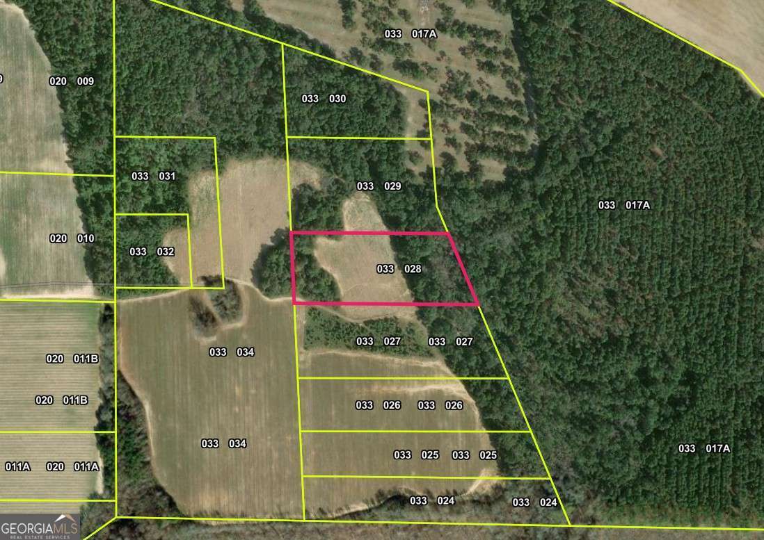 0 Webster Road Waynesboro, GA 30830 - Photo 2 of 4