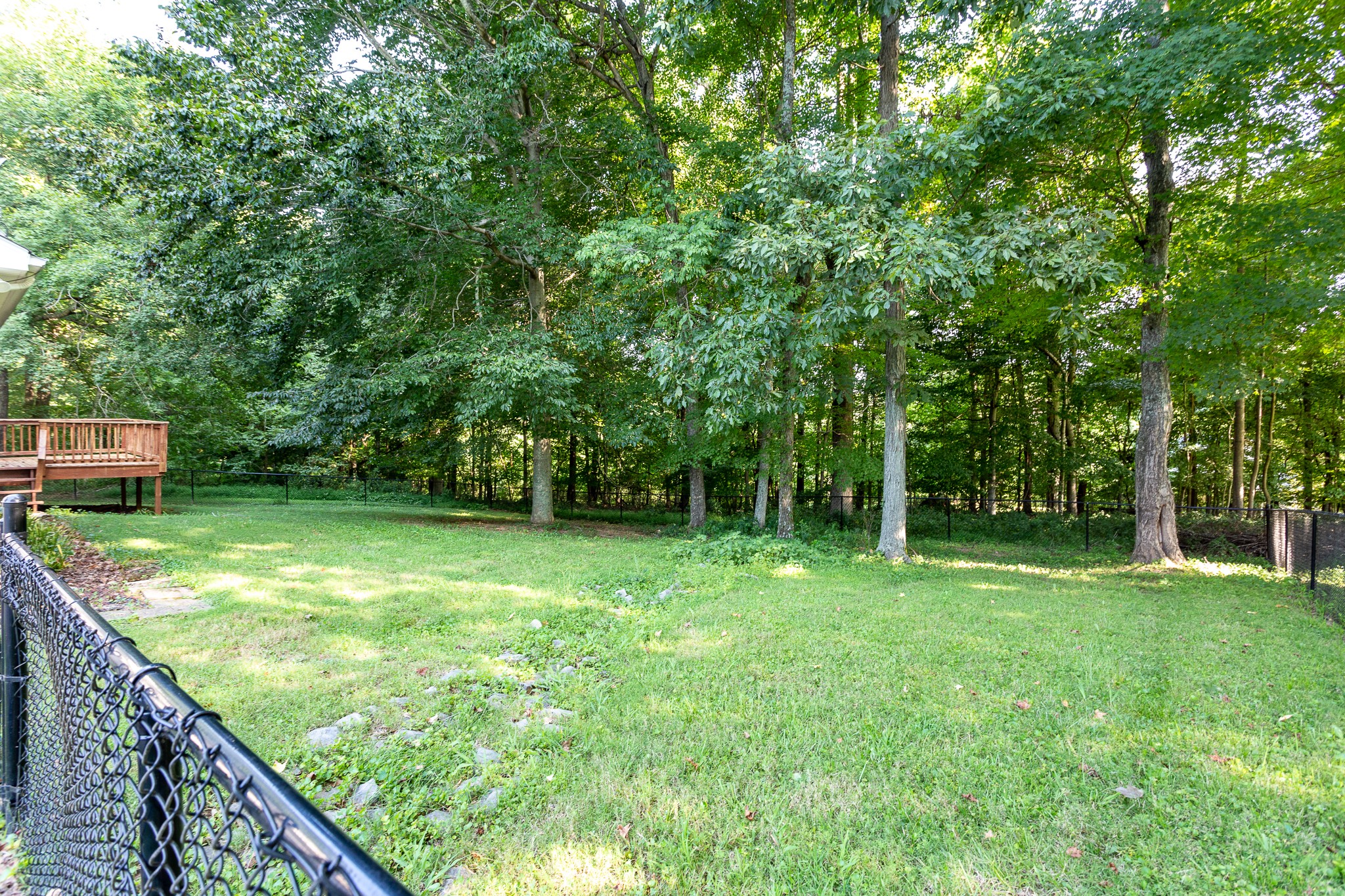 1649 Gratton Road Clarksville, TN 37043 - Photo 23 of 23 a backyard of a house with lots of green space