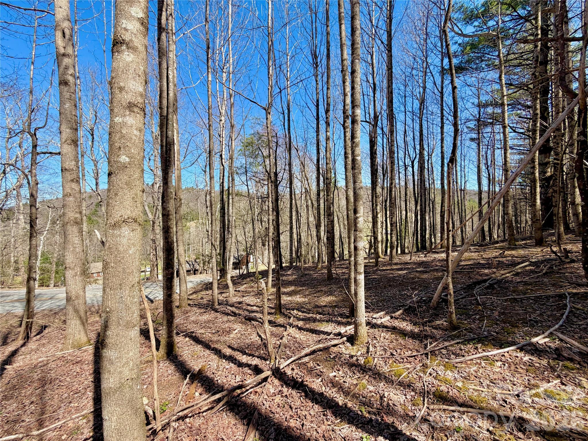 Tbd George Hayes Road, Unit TRACT B Boone, NC 28607 - Photo 18 of 23 a backyard of a house