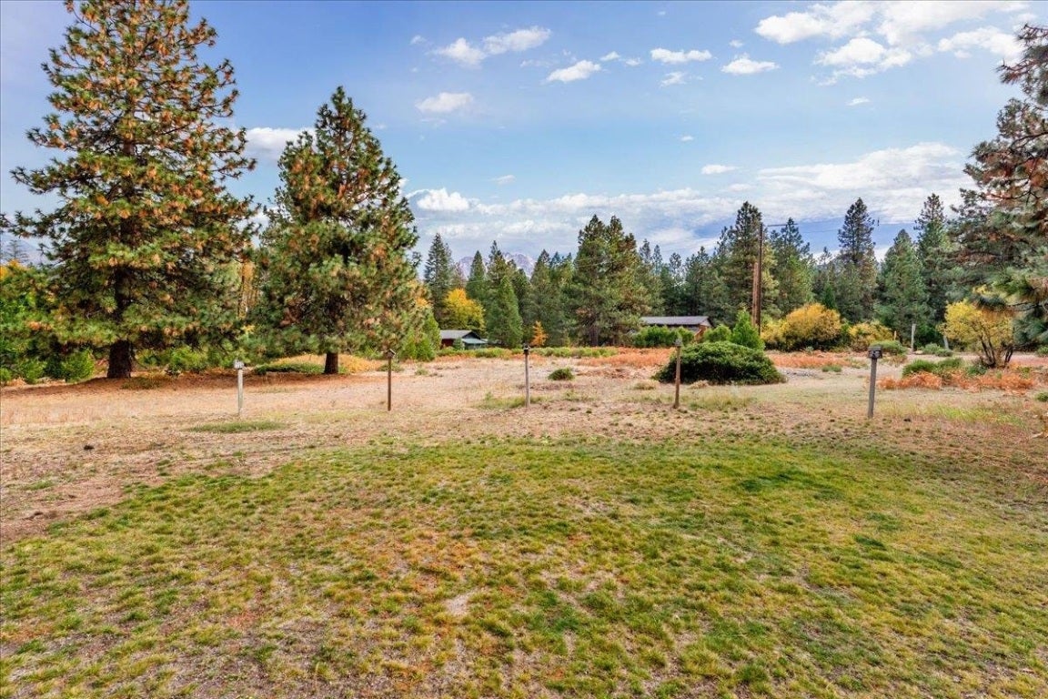 7411 Sugar Pine Road Weed, CA 96094 - Photo 24 of 24 Gallery Image 24