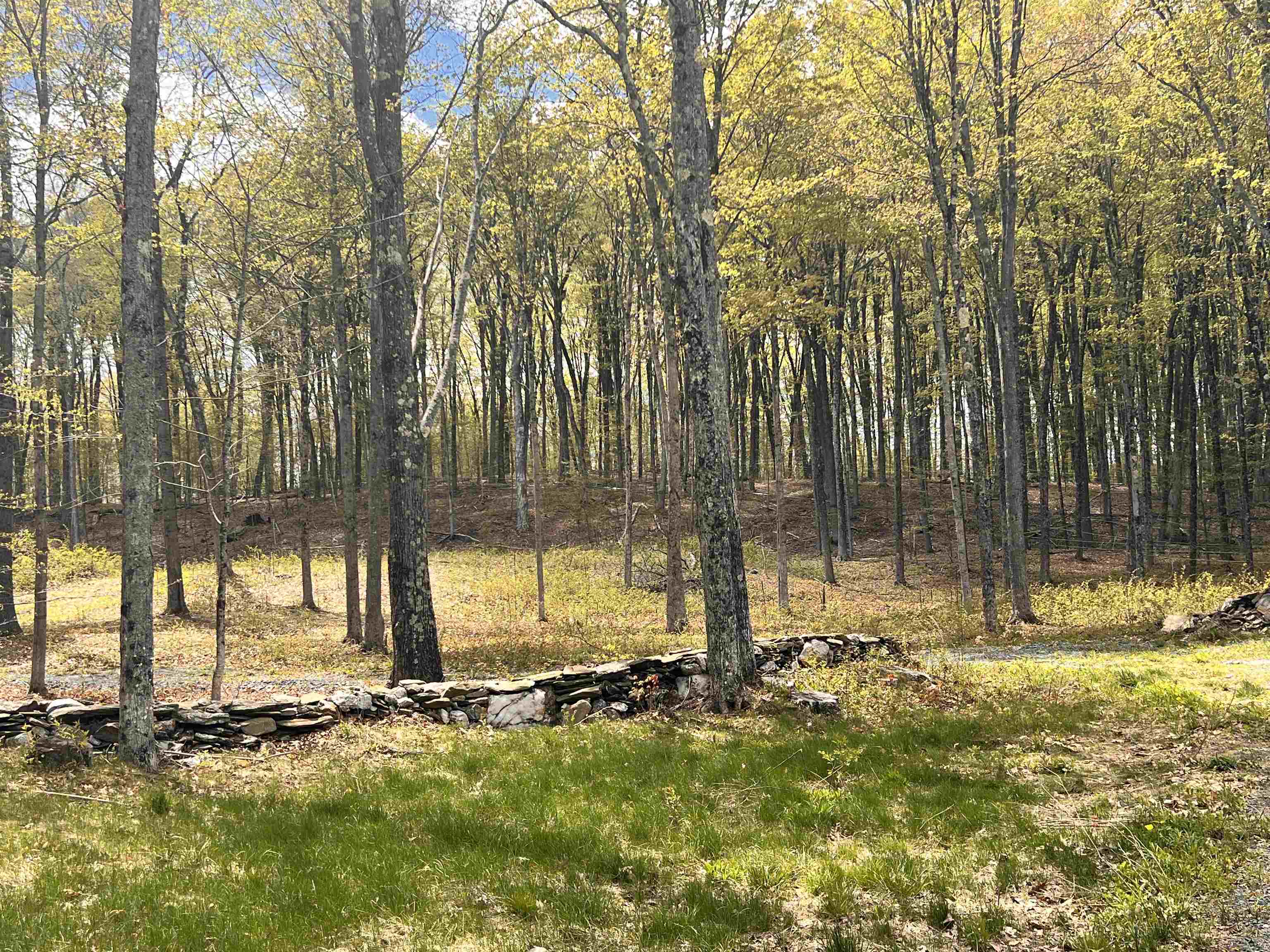 119 Advent Hill Road Hartland, VT 05048 - Photo 11 of 41