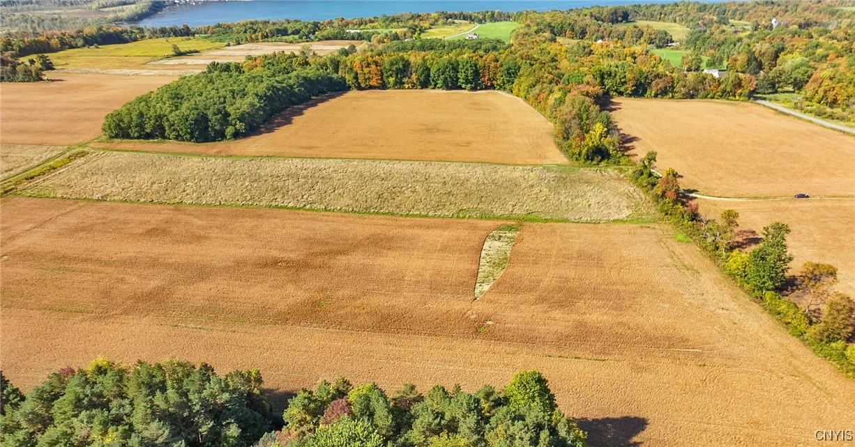 L11 Hall Road Moravia, NY 13118 - Photo 2 of 19