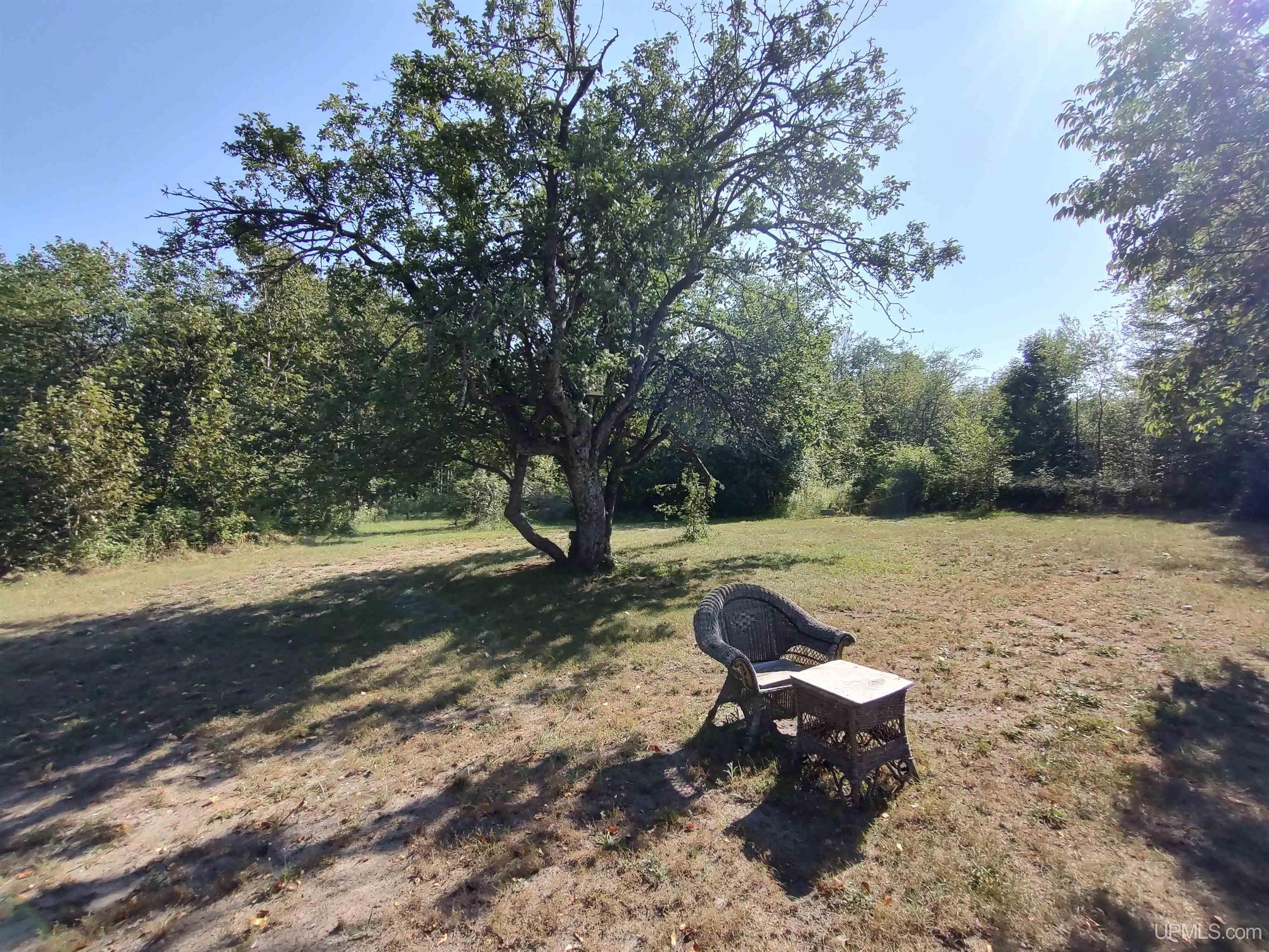 387 Rd Mcmillan Mi 49853 Road Newberry, MI 49868 - Photo 35 of 78