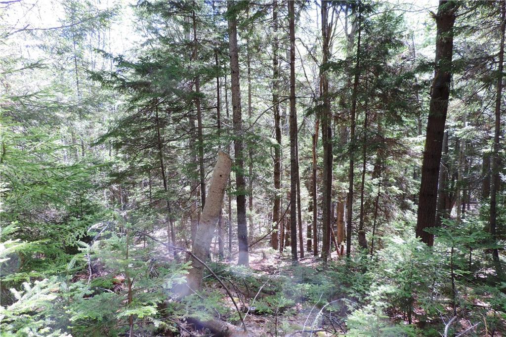 Lot#00 Doughty Point Road Harpswell, ME 04079 - Photo 13 of 21 Photo