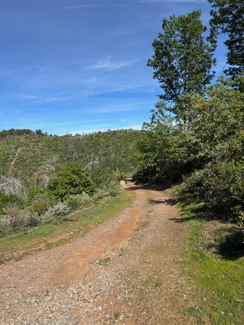 3745 Paramae Road Rail Road Flat, CA 95245 - Photo 84 of 95 This is the easement road that serves other undeveloped parcels.