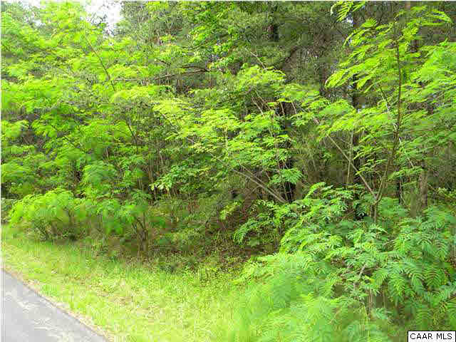 0 Valley View Road Ruckersville, VA 22968 - Photo 1 of 3 a view of a lush green space