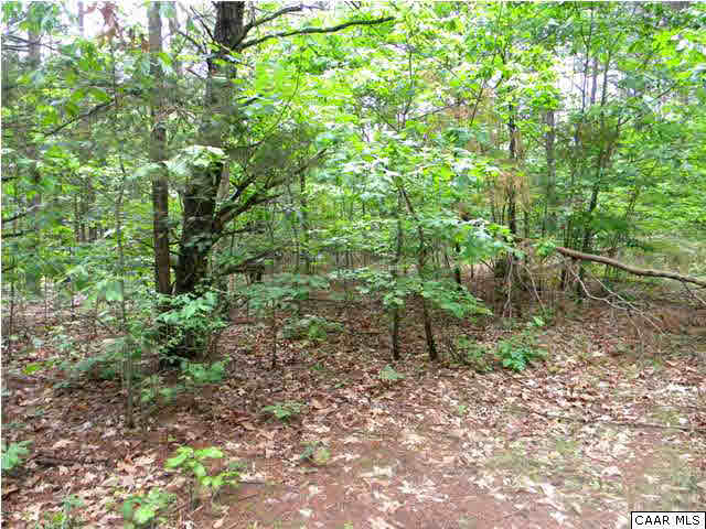 0 Valley View Road Ruckersville, VA 22968 - Photo 2 of 3 a view of a yard with plants and large trees