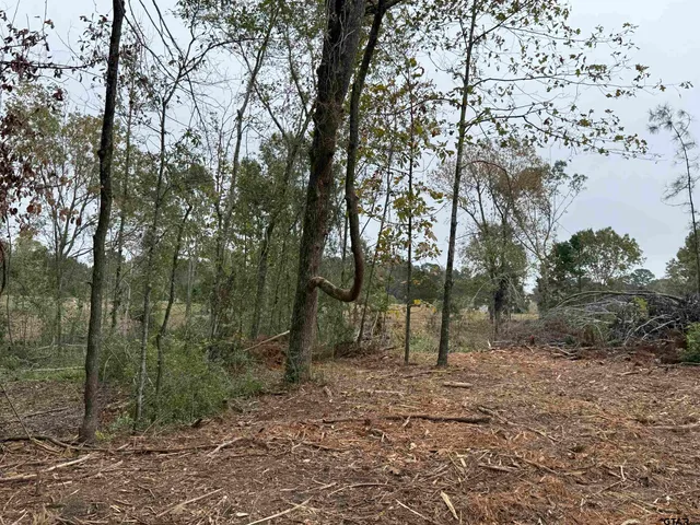 a view of outdoor space with lots of trees