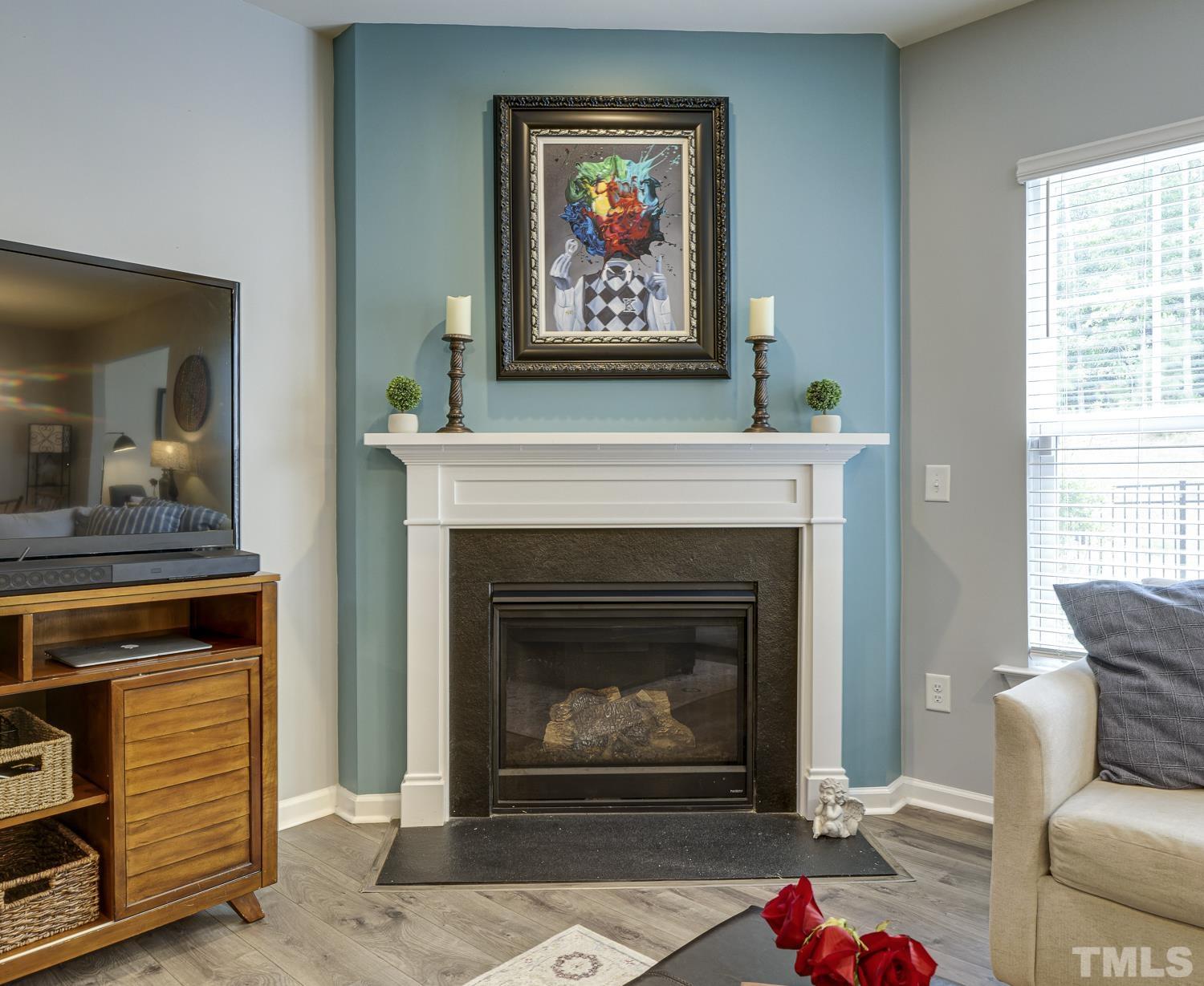 3155 Retama Run New Hill, NC 27562 - Photo 9 of 48 a living room with furniture and a fireplace