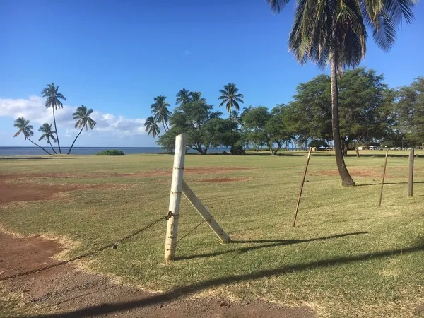 a front view of a house with a yard and palm trees