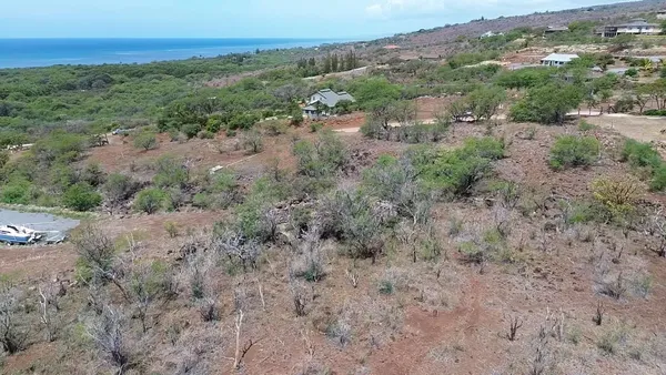 a view of a big yard with lots of green space