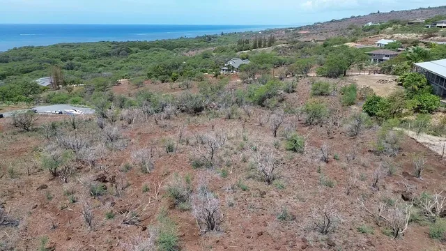 a view of a dry yard with wooden fence