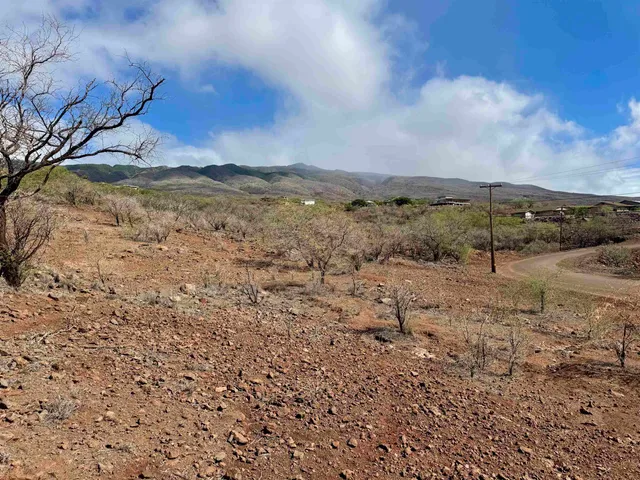 a view of a dry yard with wooden fence