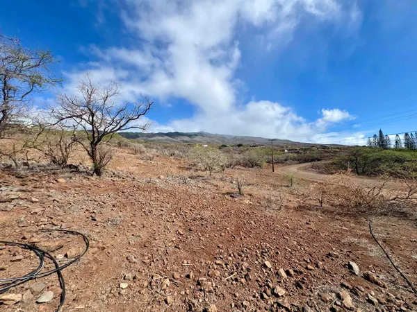 a view of a yard with wooden fence