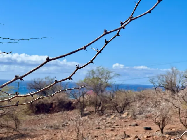 a view of mountains and valleys