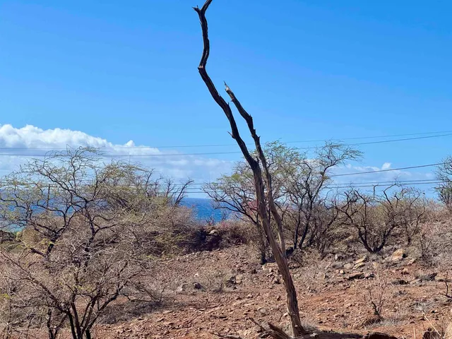 a view of mountain view with lots of trees