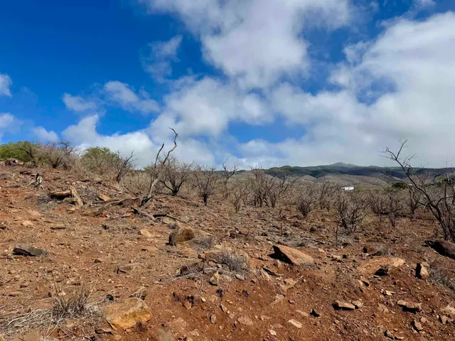 a view of a backyard of a house