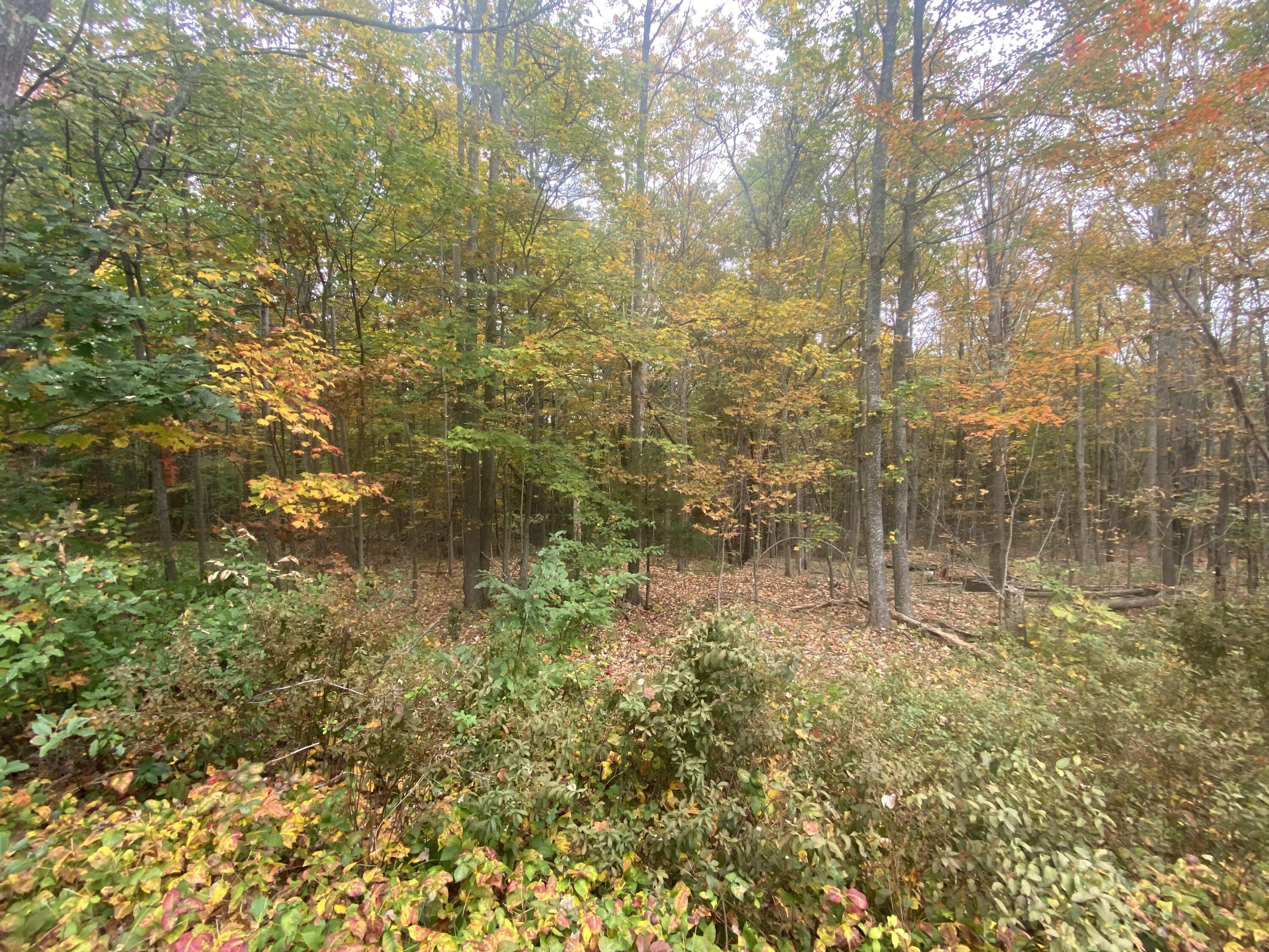 5 Old Mountain Road Cape Neddick, ME 03902 - Photo 4 of 5 IMG_7129