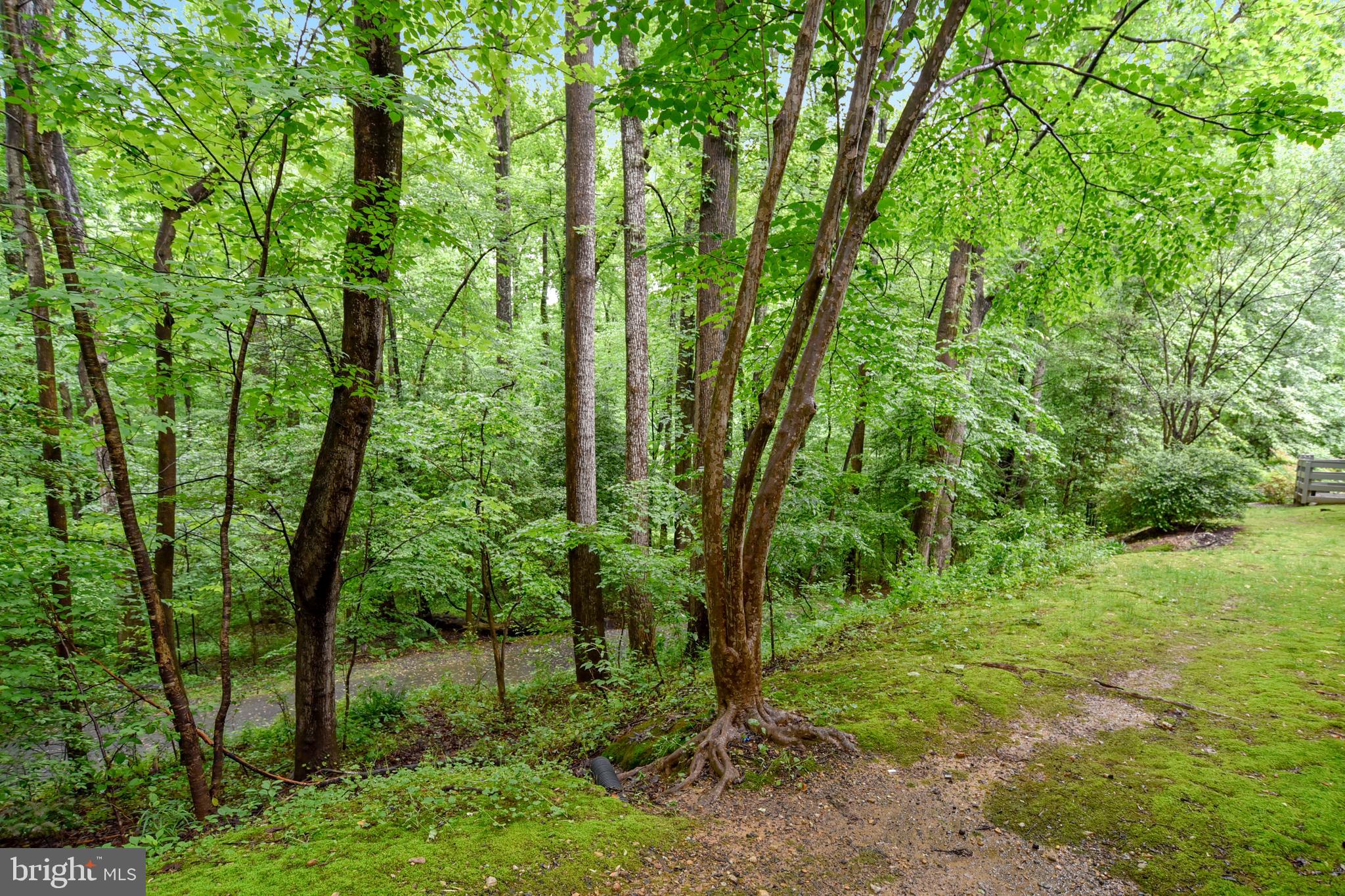 2241 Lovedale Lane, Unit B Reston, VA 20191 - Photo 3 of 27 a view of outdoor space and green space