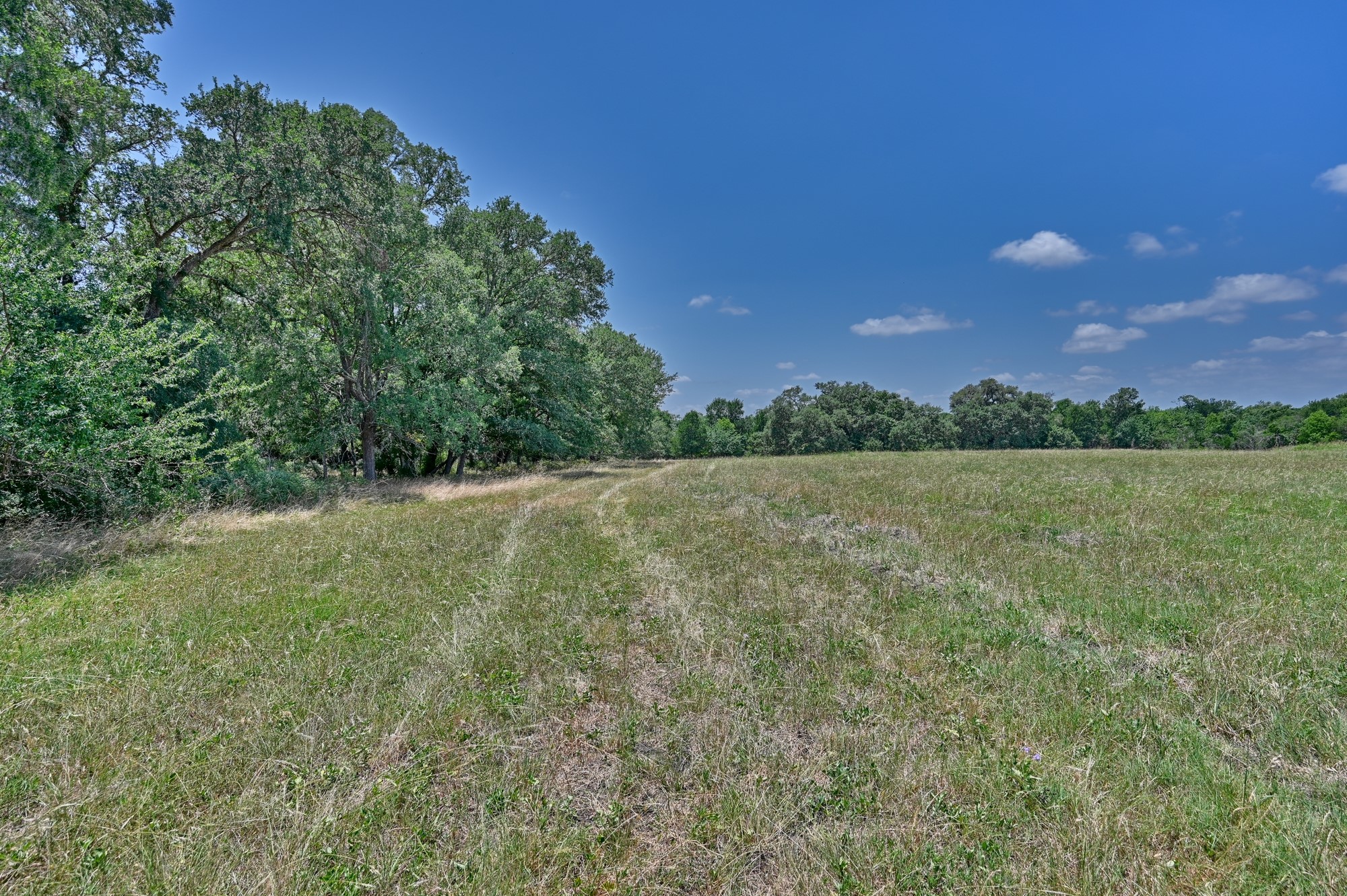 6238 Kovar Road Fayetteville, TX 78940 - Photo 20 of 28
