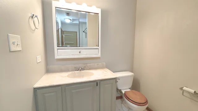 a bathroom with a sink and a toilet