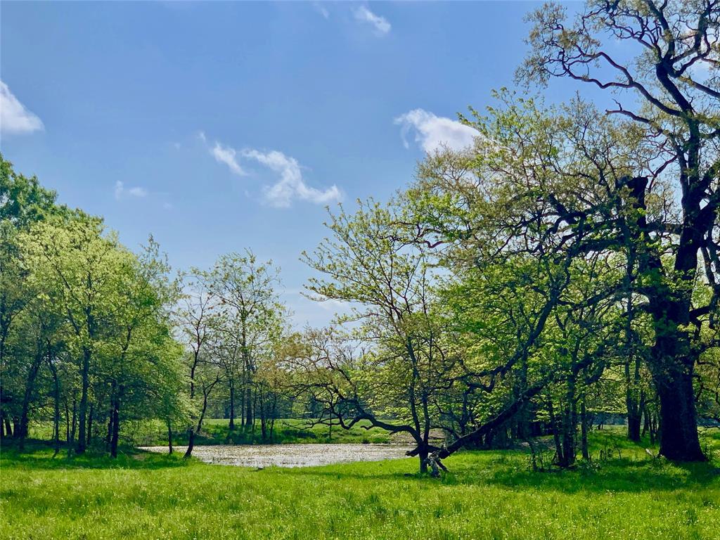 3389 West Hwy Sulphur Spgs  