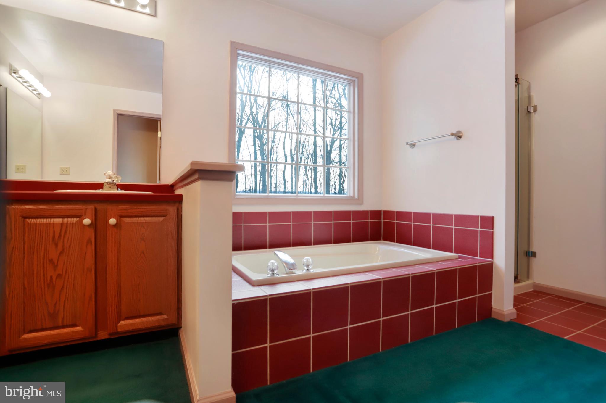 411 Springfield Road Shippensburg, PA 17257 - Photo 34 of 75 Master Bath/ Soaking Tub, Sep Shower