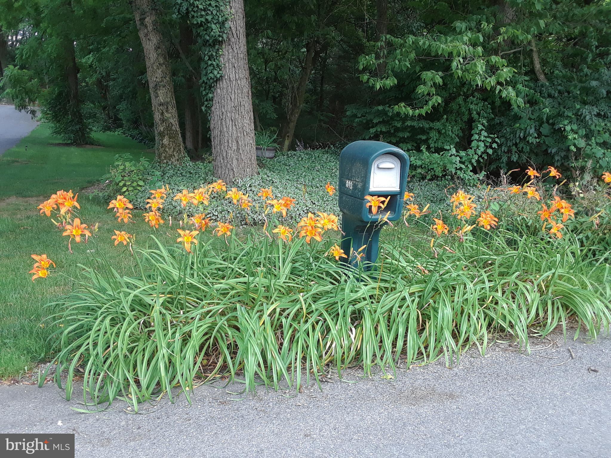 411 Springfield Road Shippensburg, PA 17257 - Photo 60 of 75 Spring time at 411 Springfield